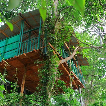 River Side Cabana Tissamaharama Εξωτερικό φωτογραφία
