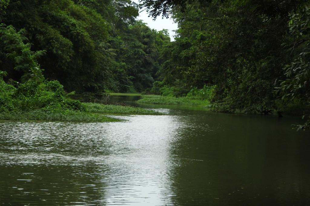 River Side Cabana Tissamaharama Εξωτερικό φωτογραφία