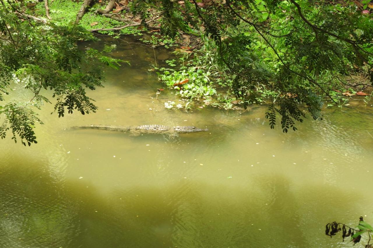 River Side Cabana Tissamaharama Εξωτερικό φωτογραφία