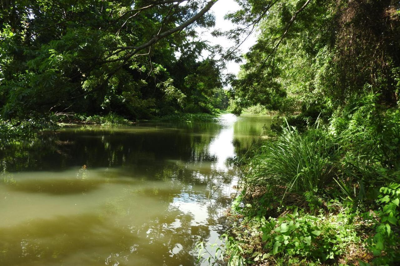 River Side Cabana Tissamaharama Εξωτερικό φωτογραφία